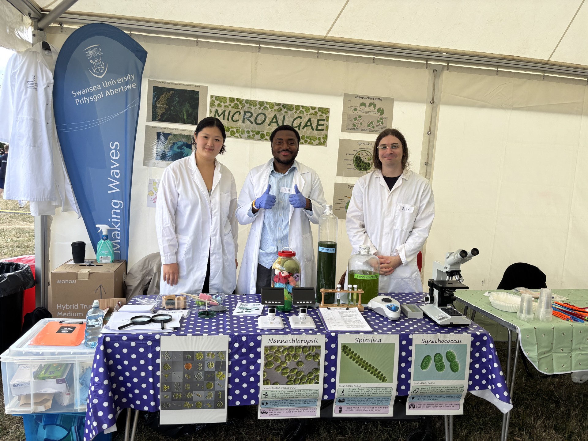 Microalgae